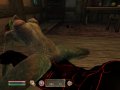 a_1220830857639__argonian_darma_dremora_oblivion_the_elder_scrolls.jpg